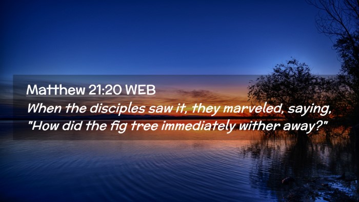 Picture 02 - Matthew 21:20 WEB Desktop Wallpaper - When the disciples saw it, they marveled, saying, - Desktop Bible Verse Wallpaper