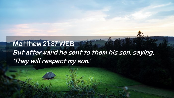 Picture 02 - Matthew 21:37 WEB Desktop Wallpaper - But afterward he sent to them his son, saying, - Desktop Bible Verse Wallpaper
