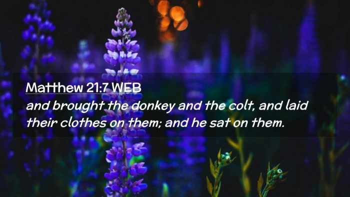 Picture 02 - Matthew 21:7 WEB Desktop Wallpaper - and brought the donkey and the colt, and laid - Desktop Bible Verse Wallpaper