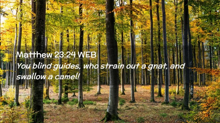 Picture 02 - Matthew 23:24 WEB Desktop Wallpaper - You blind guides, who strain out a gnat, and - Desktop Bible Verse Wallpaper