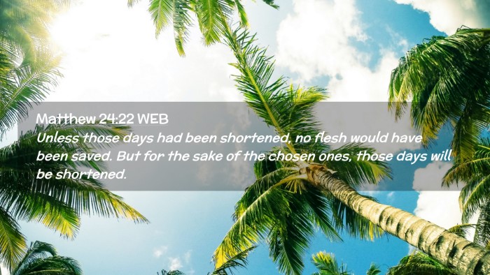 Picture 02 - Matthew 24:22 WEB Desktop Wallpaper - Unless those days had been shortened, no flesh - Desktop Bible Verse Wallpaper