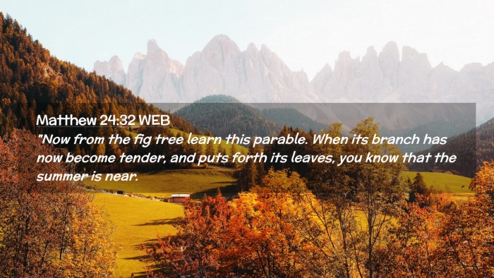 Picture 02 - Matthew 24:32 WEB Desktop Wallpaper - 