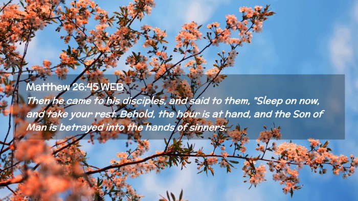 Picture 02 - Matthew 26:45 WEB Desktop Wallpaper - Then he came to his disciples, and said to them, - Desktop Bible Verse Wallpaper