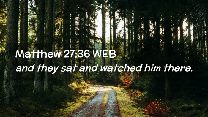 Picture 02 - Matthew 27:36 WEB Desktop Wallpaper - and they sat and watched him - Desktop Bible Verse Wallpaper