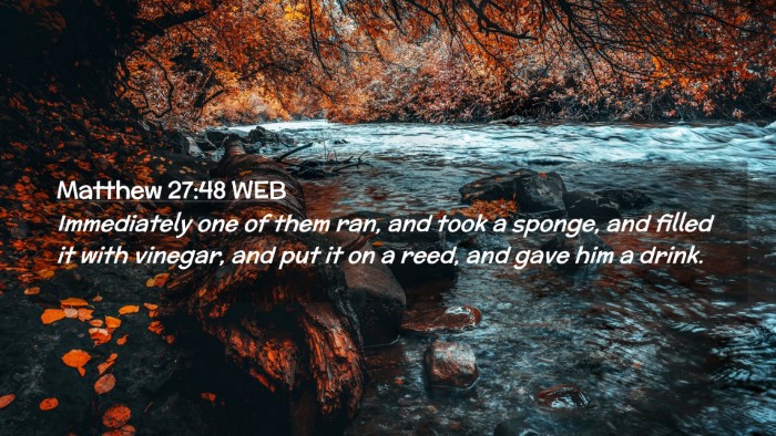 Picture 02 - Matthew 27:48 WEB Desktop Wallpaper - Immediately one of them ran, and took a sponge, - Desktop Bible Verse Wallpaper