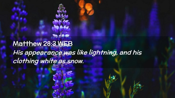 Picture 02 - Matthew 28:3 WEB Desktop Wallpaper - His appearance was like lightning, and his - Desktop Bible Verse Wallpaper