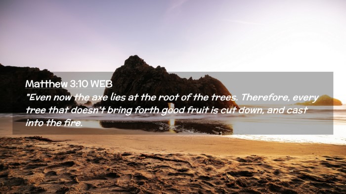 Picture 02 - Matthew 3:10 WEB Desktop Wallpaper - 
