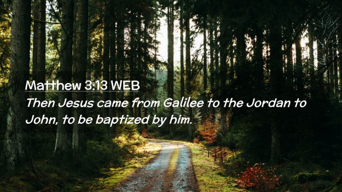 Picture 02 - Matthew 3:13 WEB Desktop Wallpaper - Then Jesus came from Galilee to the Jordan to - Desktop Bible Verse Wallpaper