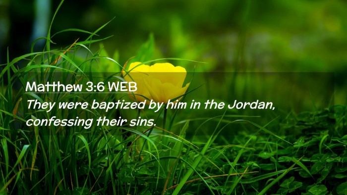 Picture 02 - Matthew 3:6 WEB Desktop Wallpaper - They were baptized by him in the Jordan, - Desktop Bible Verse Wallpaper