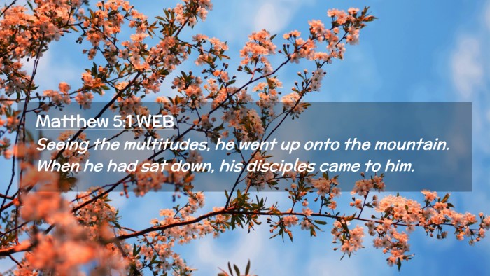 Picture 02 - Matthew 5:1 WEB Desktop Wallpaper - Seeing the multitudes, he went up onto the - Desktop Bible Verse Wallpaper