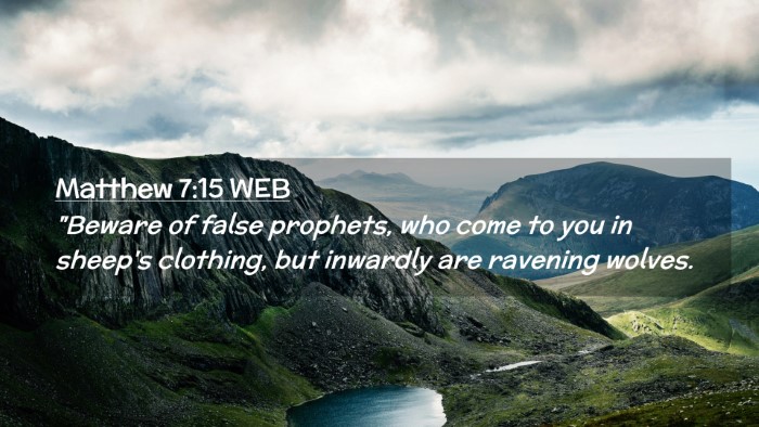 Picture 02 - Matthew 7:15 WEB Desktop Wallpaper - 