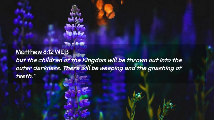 Picture 02 - Matthew 8:12 WEB Desktop Wallpaper - but the children of the Kingdom will be thrown - Desktop Bible Verse Wallpaper