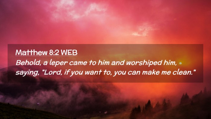 Picture 02 - Matthew 8:2 WEB Desktop Wallpaper - Behold, a leper came to him and worshiped him, - Desktop Bible Verse Wallpaper
