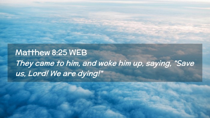 Picture 02 - Matthew 8:25 WEB Desktop Wallpaper - They came to him, and woke him up, saying, 