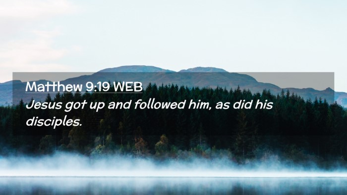 Picture 02 - Matthew 9:19 WEB Desktop Wallpaper - Jesus got up and followed him, as did his - Desktop Bible Verse Wallpaper