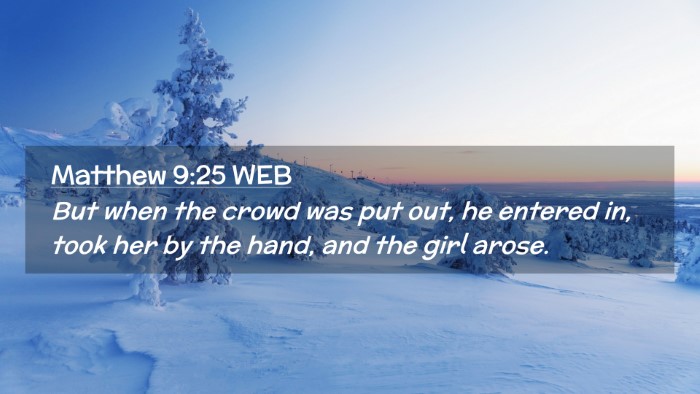 Picture 02 - Matthew 9:25 WEB Desktop Wallpaper - But when the crowd was put out, he entered in, - Desktop Bible Verse Wallpaper