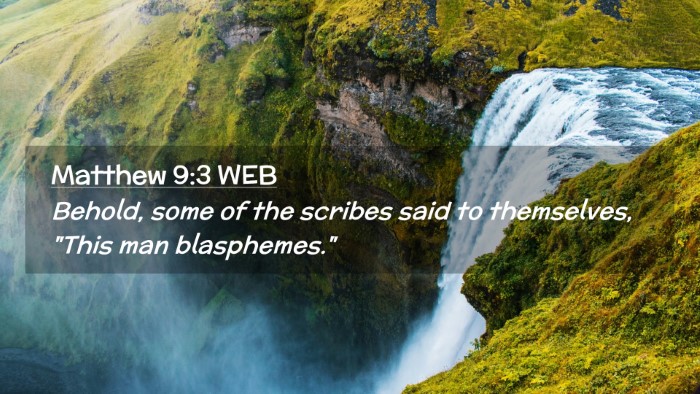 Picture 02 - Matthew 9:3 WEB Desktop Wallpaper - Behold, some of the scribes said to themselves, - Desktop Bible Verse Wallpaper