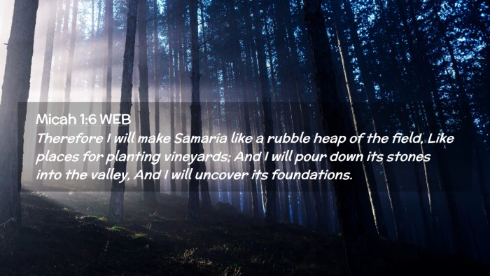 Picture 02 - Micah 1:6 WEB Desktop Wallpaper - Therefore I will make Samaria like a rubble heap - Desktop Bible Verse Wallpaper