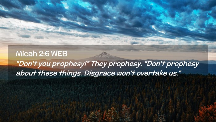 Picture 02 - Micah 2:6 WEB Desktop Wallpaper - 