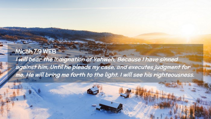 Picture 02 - Micah 7:9 WEB Desktop Wallpaper - I will bear the indignation of Yahweh, Because I - Desktop Bible Verse Wallpaper