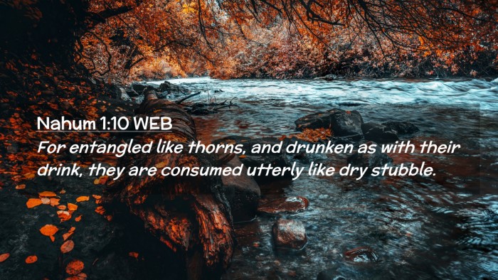 Picture 02 - Nahum 1:10 WEB Desktop Wallpaper - For entangled like thorns, and drunken as with - Desktop Bible Verse Wallpaper