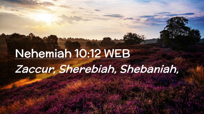 Picture 02 - Nehemiah 10:12 WEB Desktop Wallpaper - Zaccur, Sherebiah, - Desktop Bible Verse Wallpaper