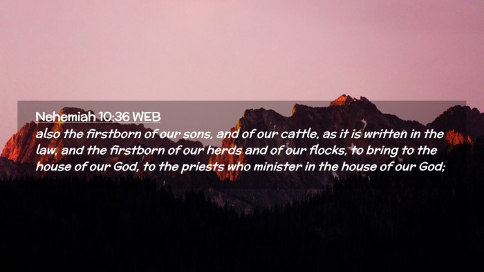 Picture 02 - Nehemiah 10:36 WEB Desktop Wallpaper - also the firstborn of our sons, and of our - Desktop Bible Verse Wallpaper