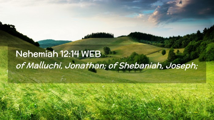 Picture 02 - Nehemiah 12:14 WEB Desktop Wallpaper - of Malluchi, Jonathan; of Shebaniah, - Desktop Bible Verse Wallpaper