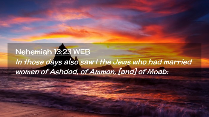 Picture 02 - Nehemiah 13:23 WEB Desktop Wallpaper - In those days also saw I the Jews who had married - Desktop Bible Verse Wallpaper