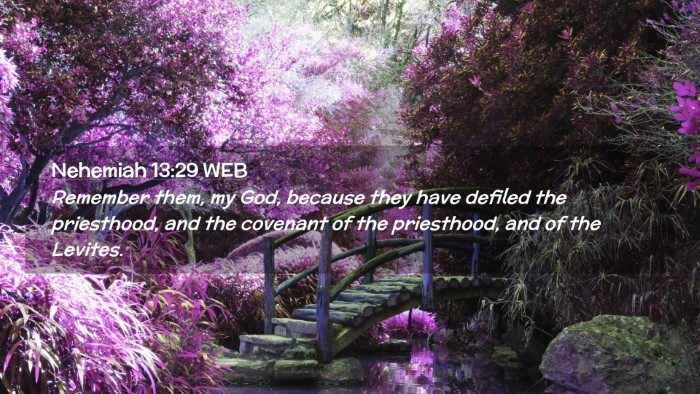 Picture 02 - Nehemiah 13:29 WEB Desktop Wallpaper - Remember them, my God, because they have defiled - Desktop Bible Verse Wallpaper