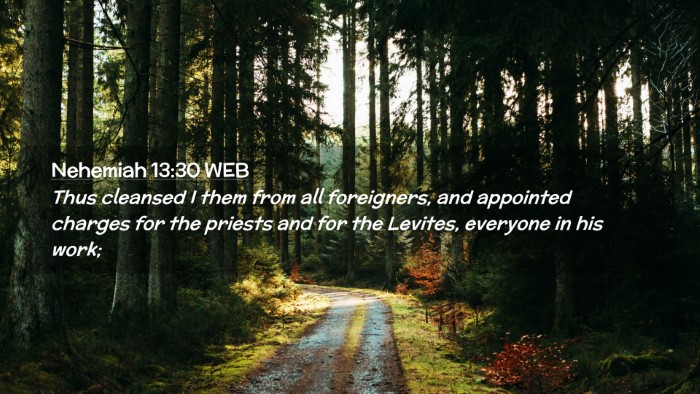 Picture 02 - Nehemiah 13:30 WEB Desktop Wallpaper - Thus cleansed I them from all foreigners, and - Desktop Bible Verse Wallpaper