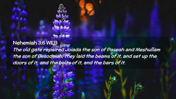 Picture 02 - Nehemiah 3:6 WEB Desktop Wallpaper - The old gate repaired Joiada the son of Paseah - Desktop Bible Verse Wallpaper