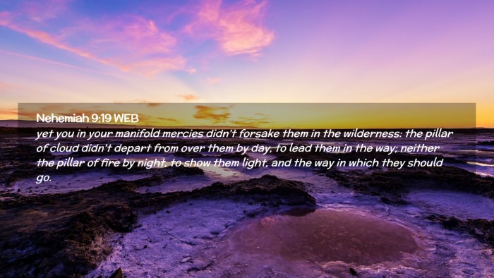 Picture 02 - Nehemiah 9:19 WEB Desktop Wallpaper - yet you in your manifold mercies didn't forsake - Desktop Bible Verse Wallpaper
