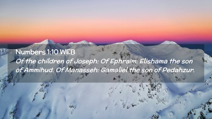 Picture 02 - Numbers 1:10 WEB Desktop Wallpaper - Of the children of Joseph: Of Ephraim: Elishama - Desktop Bible Verse Wallpaper