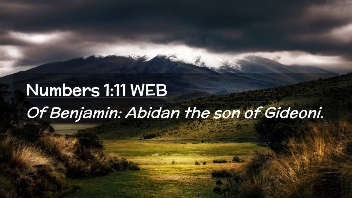 Picture 02 - Numbers 1:11 WEB Desktop Wallpaper - Of Benjamin: Abidan the son of - Desktop Bible Verse Wallpaper