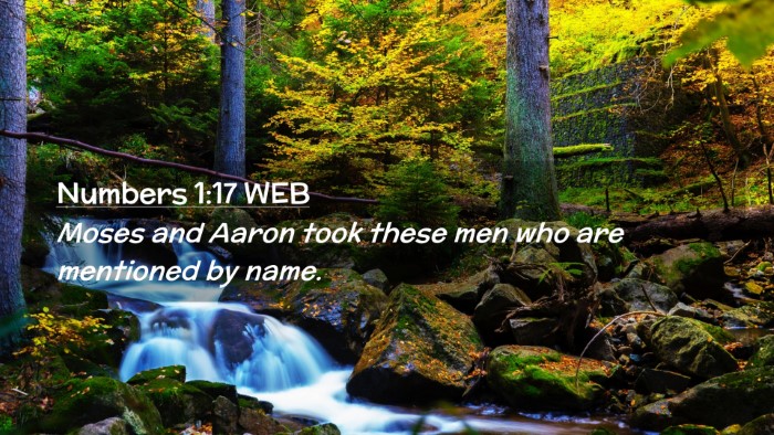Picture 02 - Numbers 1:17 WEB Desktop Wallpaper - Moses and Aaron took these men who are mentioned - Desktop Bible Verse Wallpaper