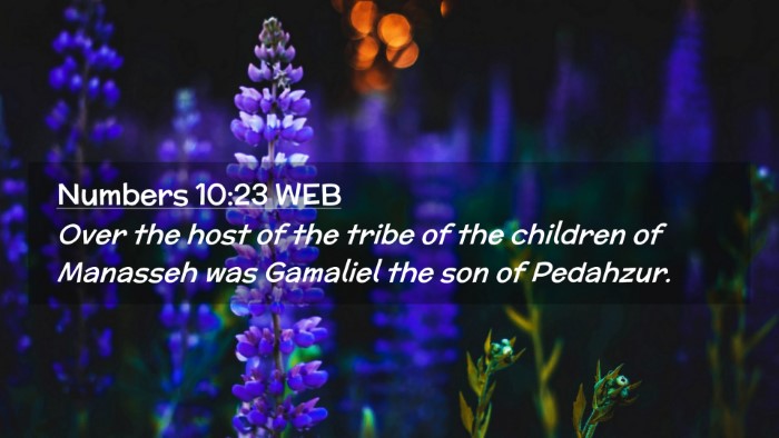 Picture 02 - Numbers 10:23 WEB Desktop Wallpaper - Over the host of the tribe of the children of - Desktop Bible Verse Wallpaper