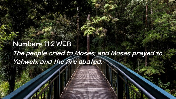 Picture 02 - Numbers 11:2 WEB Desktop Wallpaper - The people cried to Moses; and Moses prayed to - Desktop Bible Verse Wallpaper