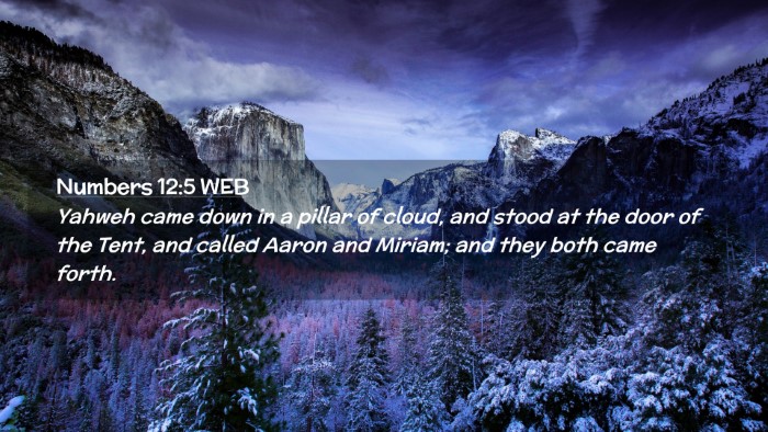 Picture 02 - Numbers 12:5 WEB Desktop Wallpaper - Yahweh came down in a pillar of cloud, and stood - Desktop Bible Verse Wallpaper