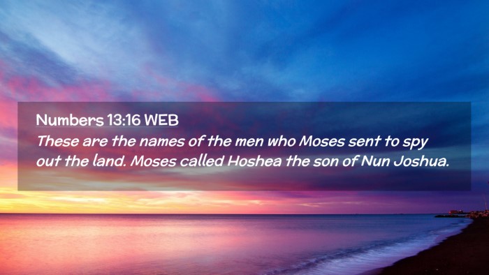 Picture 02 - Numbers 13:16 WEB Desktop Wallpaper - These are the names of the men who Moses sent to - Desktop Bible Verse Wallpaper