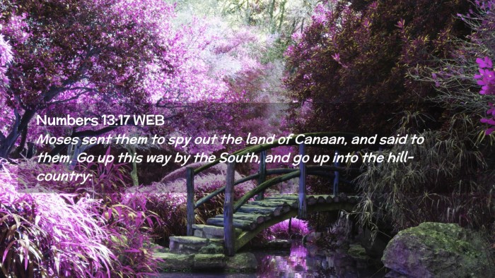 Picture 02 - Numbers 13:17 WEB Desktop Wallpaper - Moses sent them to spy out the land of Canaan, - Desktop Bible Verse Wallpaper