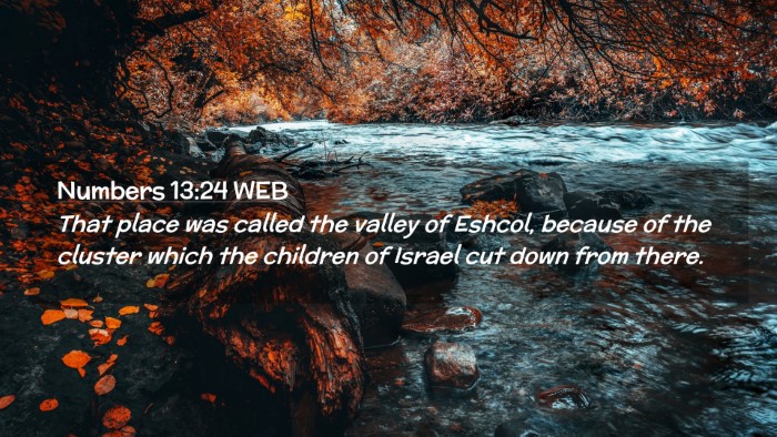 Picture 02 - Numbers 13:24 WEB Desktop Wallpaper - That place was called the valley of Eshcol, - Desktop Bible Verse Wallpaper