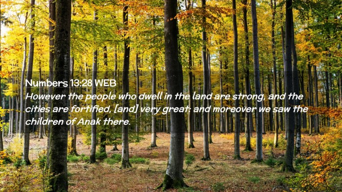 Picture 02 - Numbers 13:28 WEB Desktop Wallpaper - However the people who dwell in the land are - Desktop Bible Verse Wallpaper