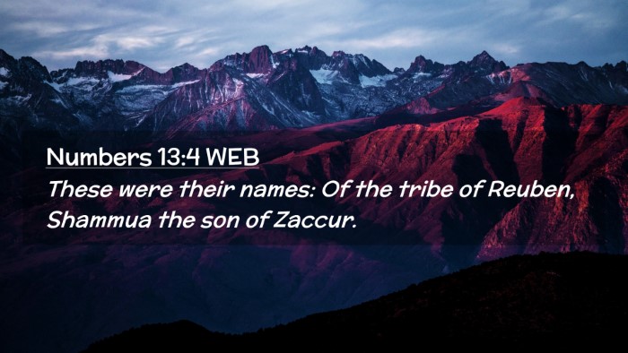 Picture 02 - Numbers 13:4 WEB Desktop Wallpaper - These were their names: Of the tribe of Reuben, - Desktop Bible Verse Wallpaper