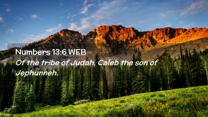 Picture 02 - Numbers 13:6 WEB Desktop Wallpaper - Of the tribe of Judah, Caleb the son of - Desktop Bible Verse Wallpaper