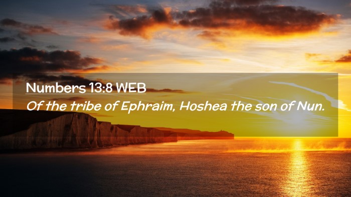 Picture 02 - Numbers 13:8 WEB Desktop Wallpaper - Of the tribe of Ephraim, Hoshea the son of - Desktop Bible Verse Wallpaper