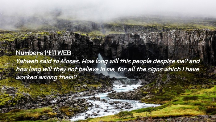 Picture 02 - Numbers 14:11 WEB Desktop Wallpaper - Yahweh said to Moses, How long will this people - Desktop Bible Verse Wallpaper