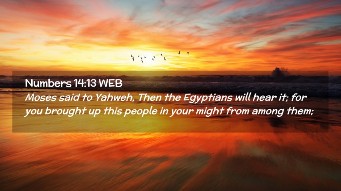 Picture 02 - Numbers 14:13 WEB Desktop Wallpaper - Moses said to Yahweh, Then the Egyptians will - Desktop Bible Verse Wallpaper