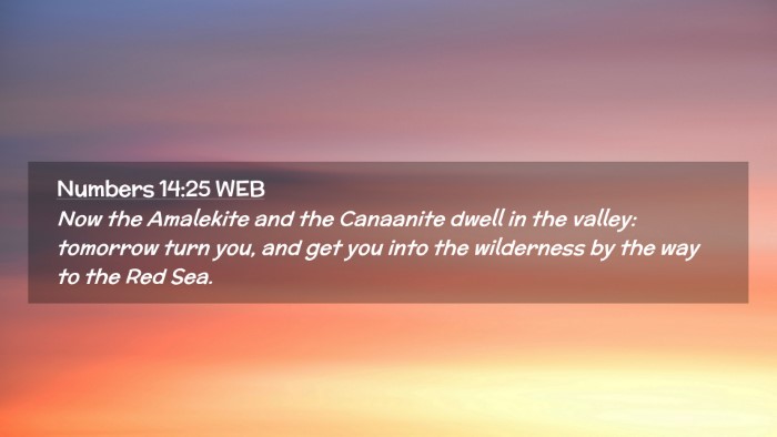 Picture 02 - Numbers 14:25 WEB Desktop Wallpaper - Now the Amalekite and the Canaanite dwell in the - Desktop Bible Verse Wallpaper