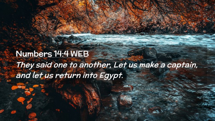 Picture 02 - Numbers 14:4 WEB Desktop Wallpaper - They said one to another, Let us make a captain, - Desktop Bible Verse Wallpaper